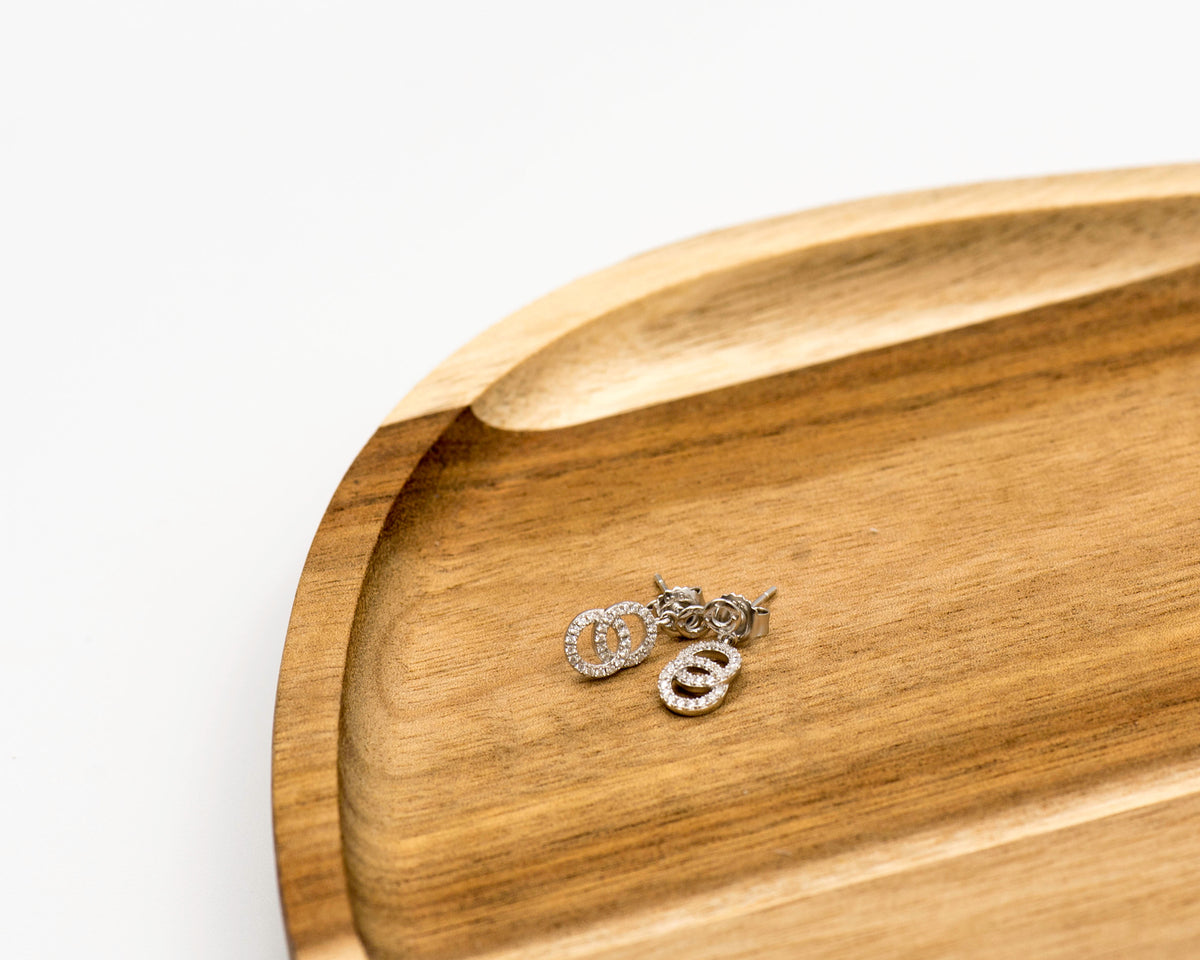 069 Earrings Silver and Cubic in Circle