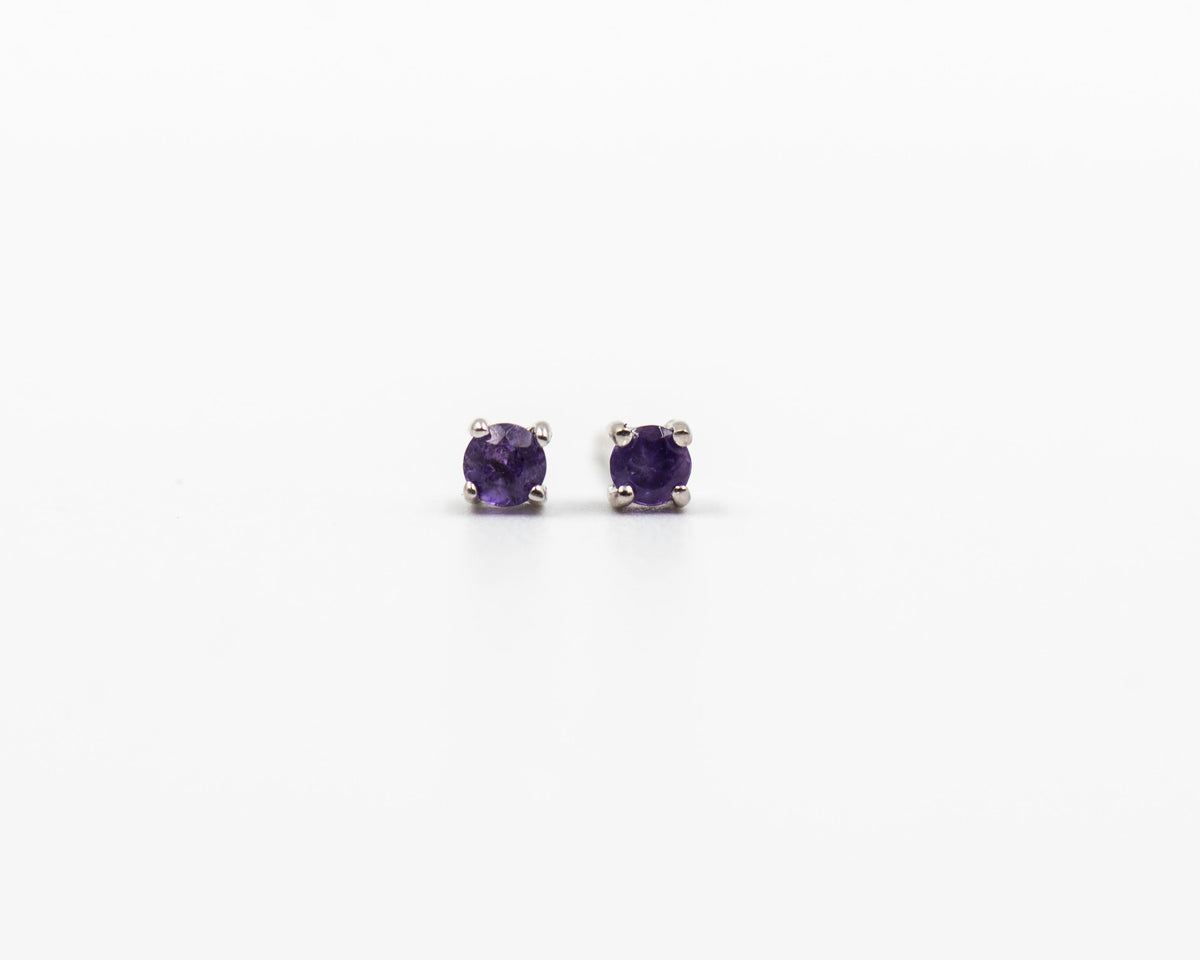 113 Earring Birthstone February